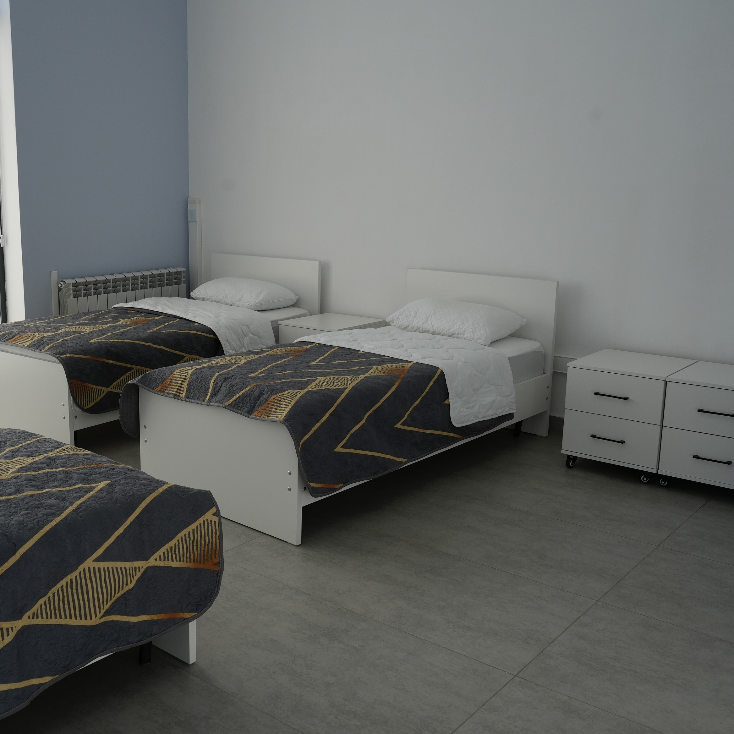 Эконом (палата) - фото 2